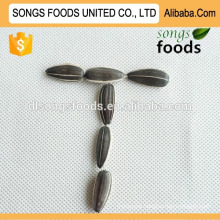 Sunflower seeds 5009 buyer